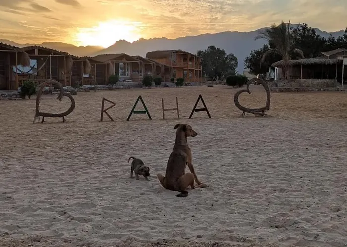 Resort Raha Camp Nuweiba`